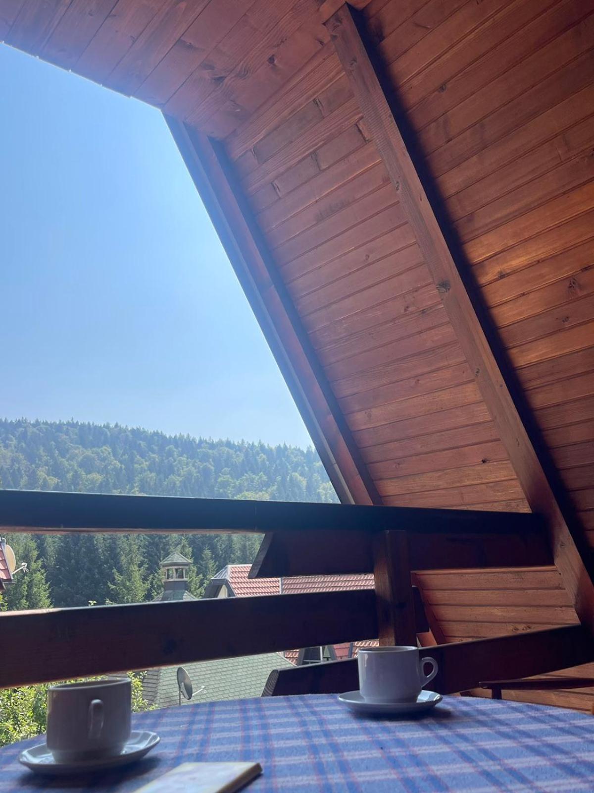 Planinska Kuća Dušan view 3