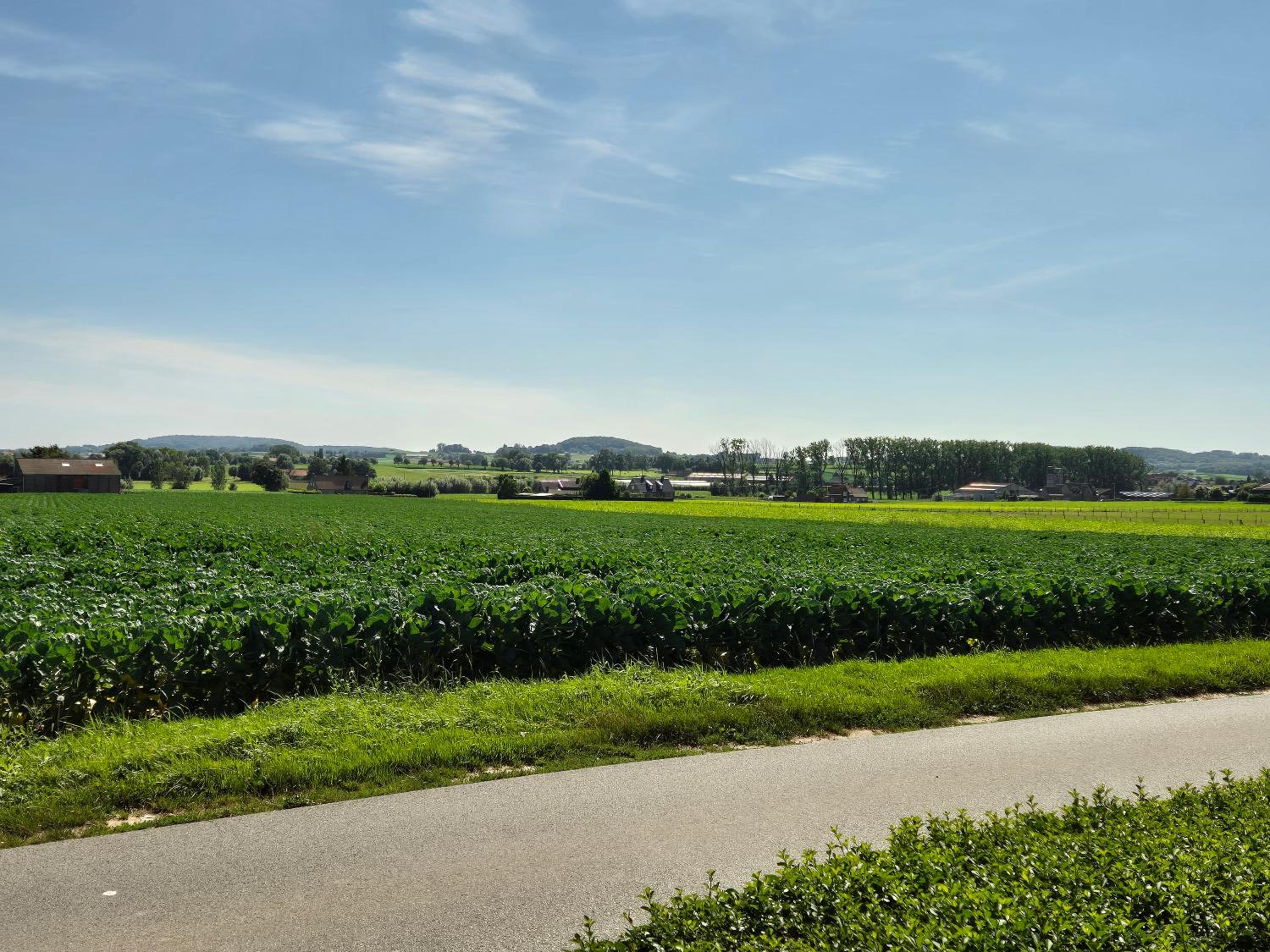 Vakantiehuis De Horizon