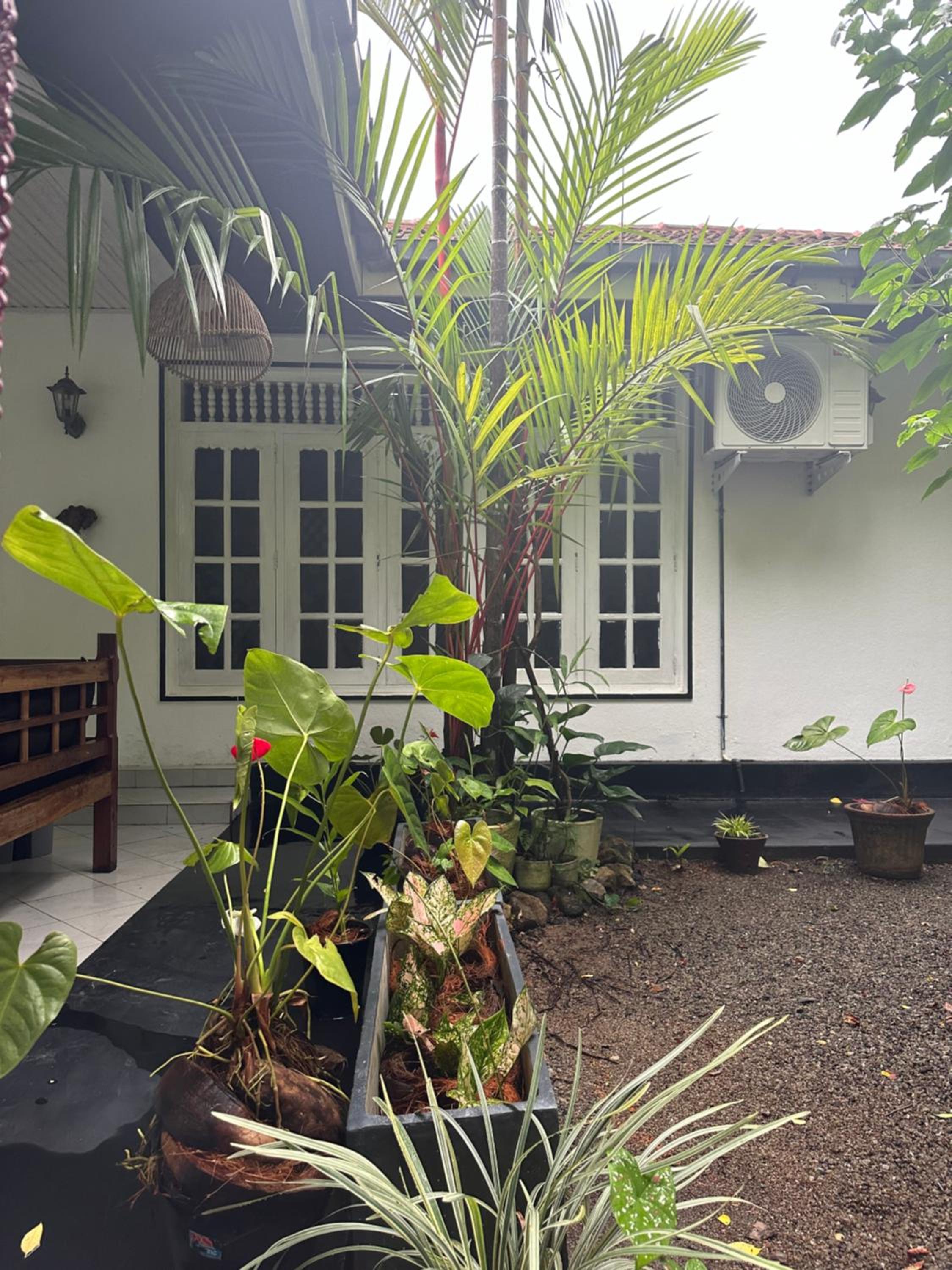 Catal INN Unawatuna Sri Lanka
