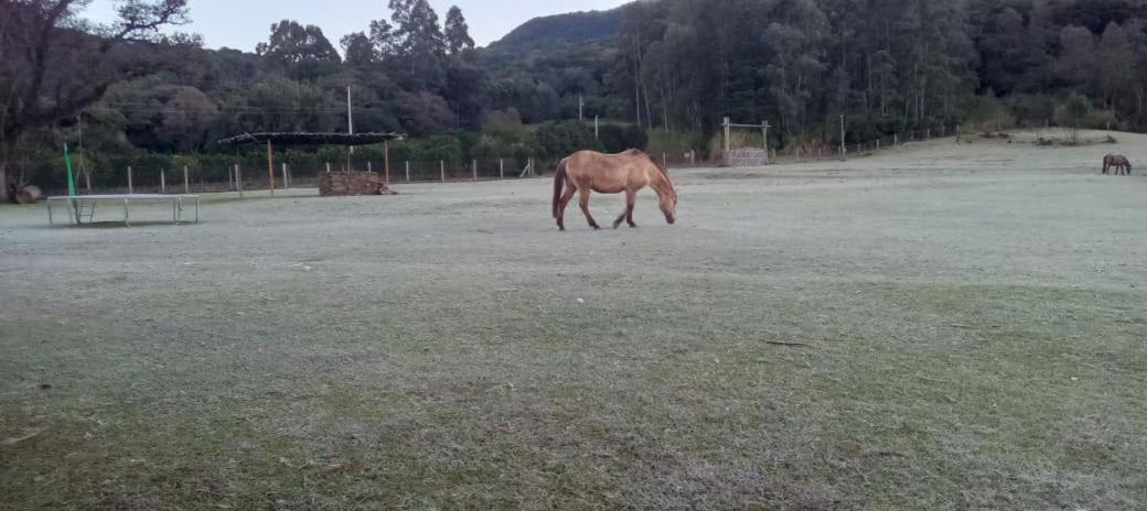 Quinta da Boa Vista São Chico