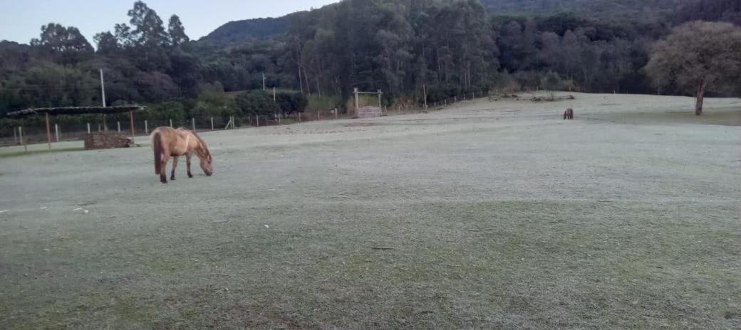 Quinta da Boa Vista São Chico