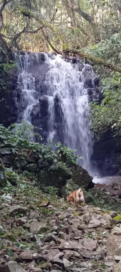 Quinta da Boa Vista São Chico