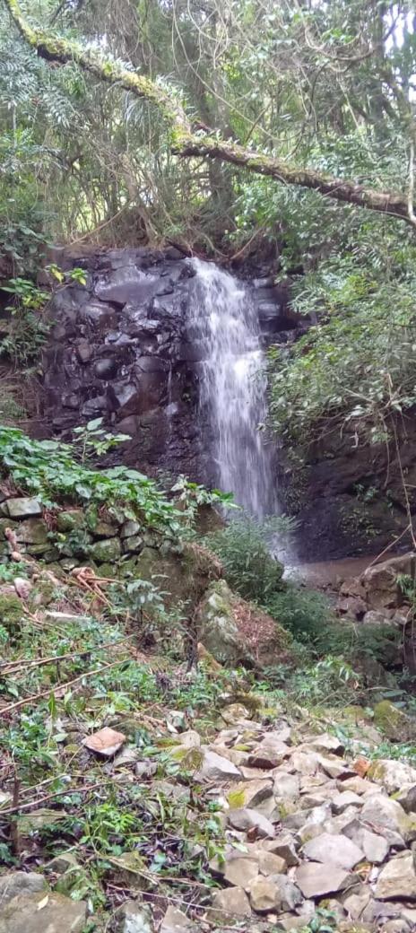 Quinta da Boa Vista São Chico