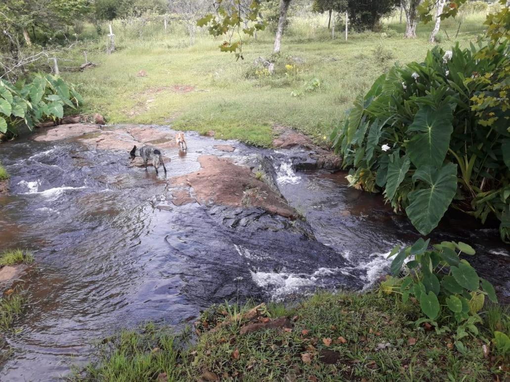 Quinta da Boa Vista São Chico