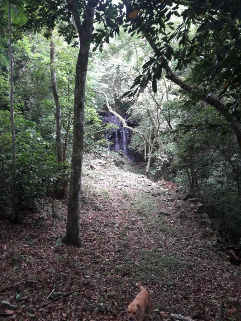 Quinta da Boa Vista São Chico