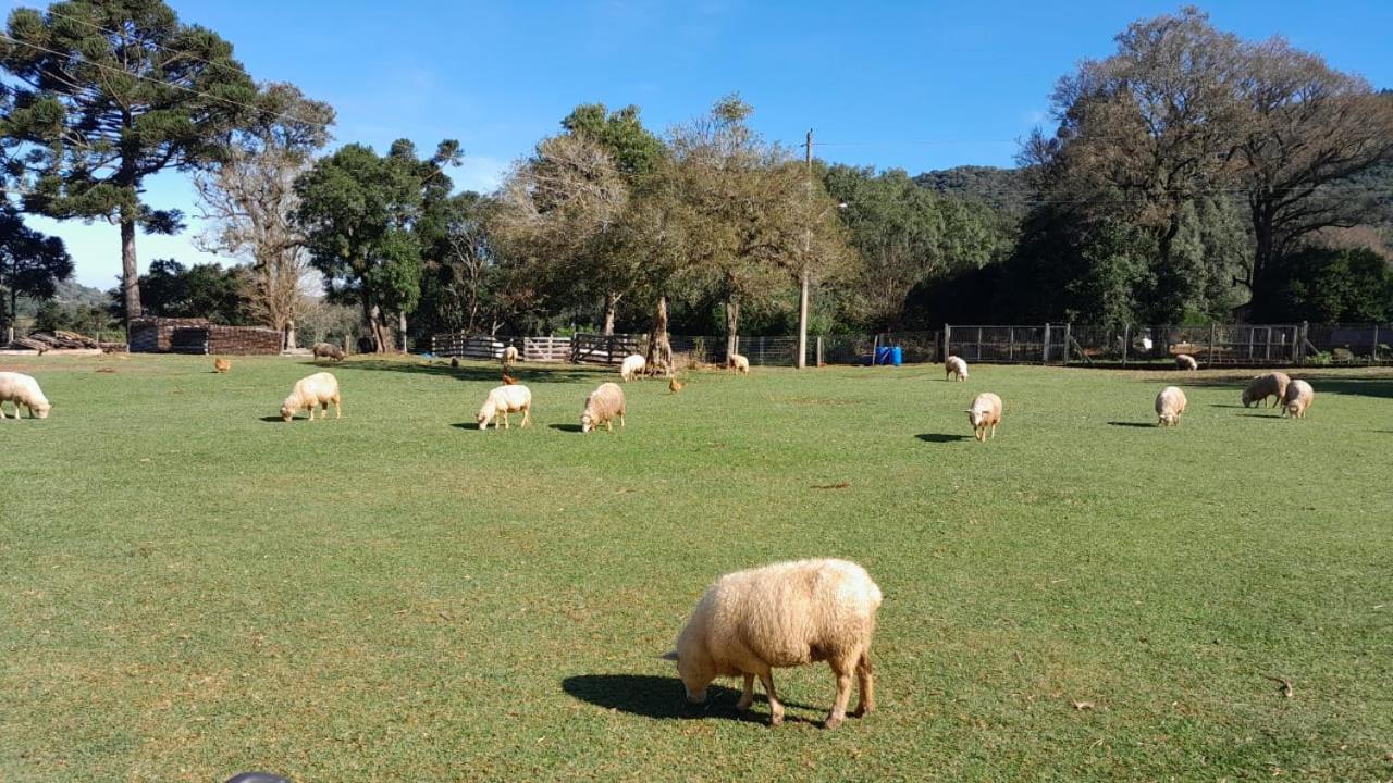 Quinta da Boa Vista São Chico