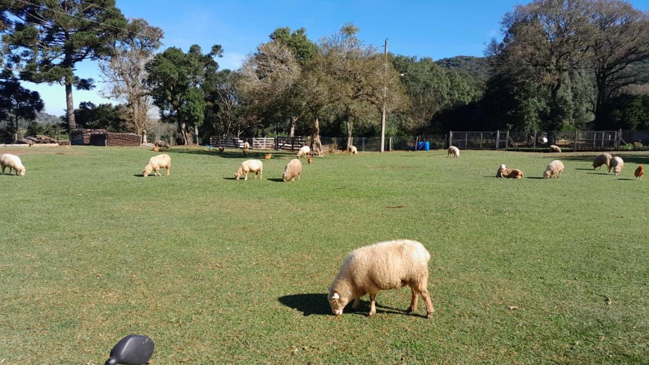 Quinta da Boa Vista São Chico