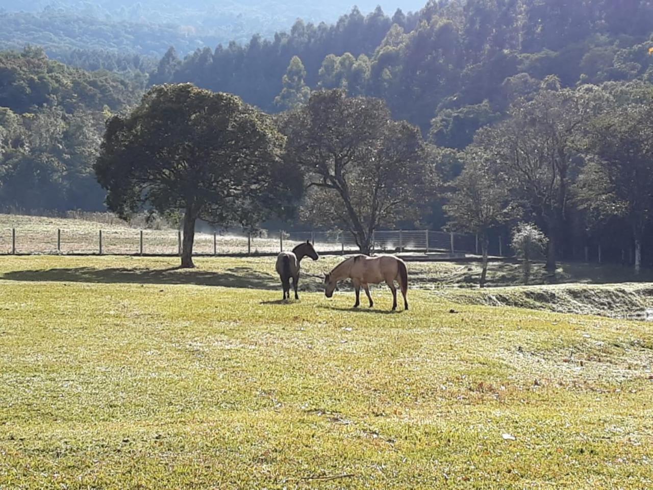Quinta da Boa Vista São Chico