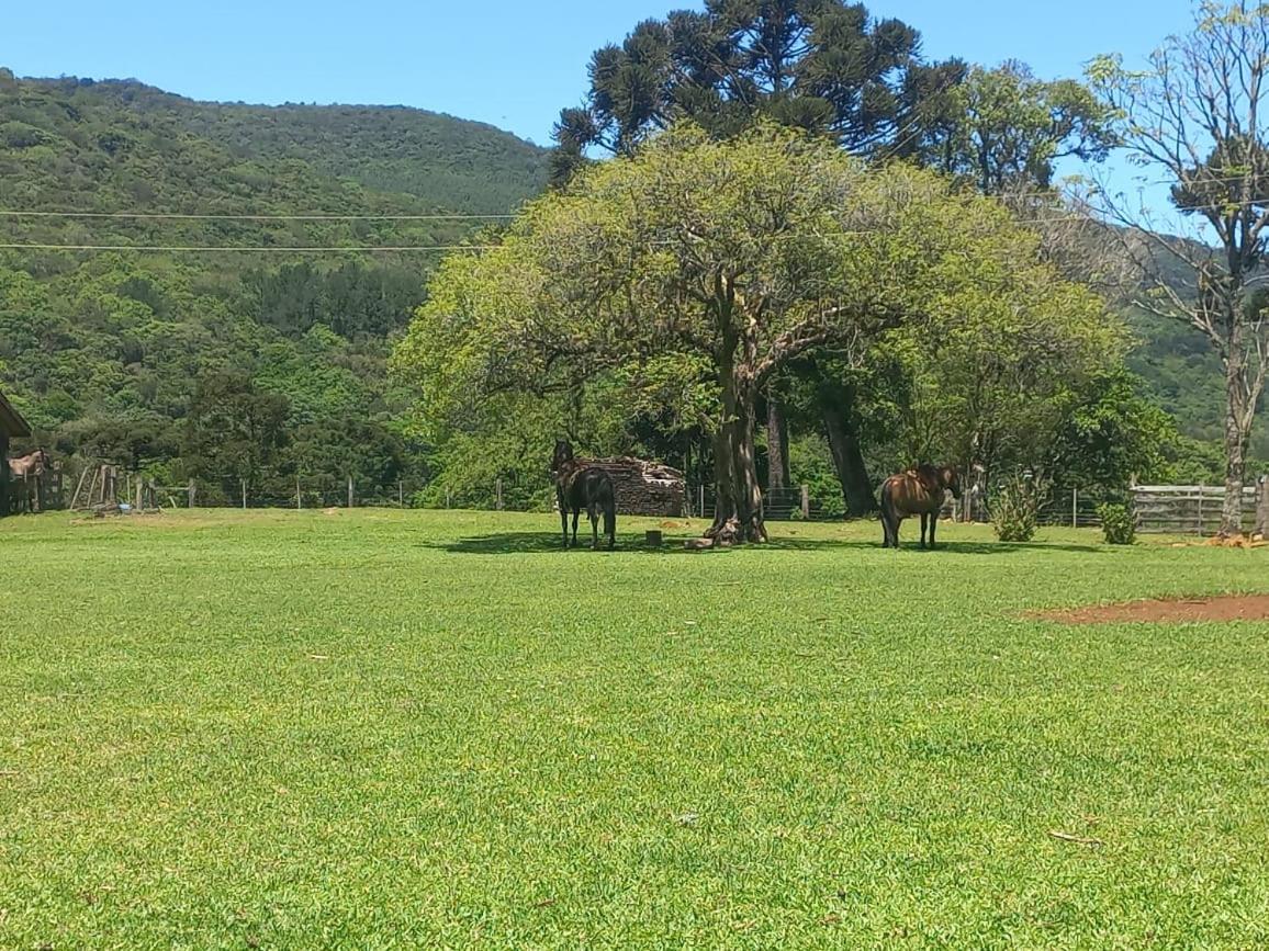 Quinta da Boa Vista São Chico