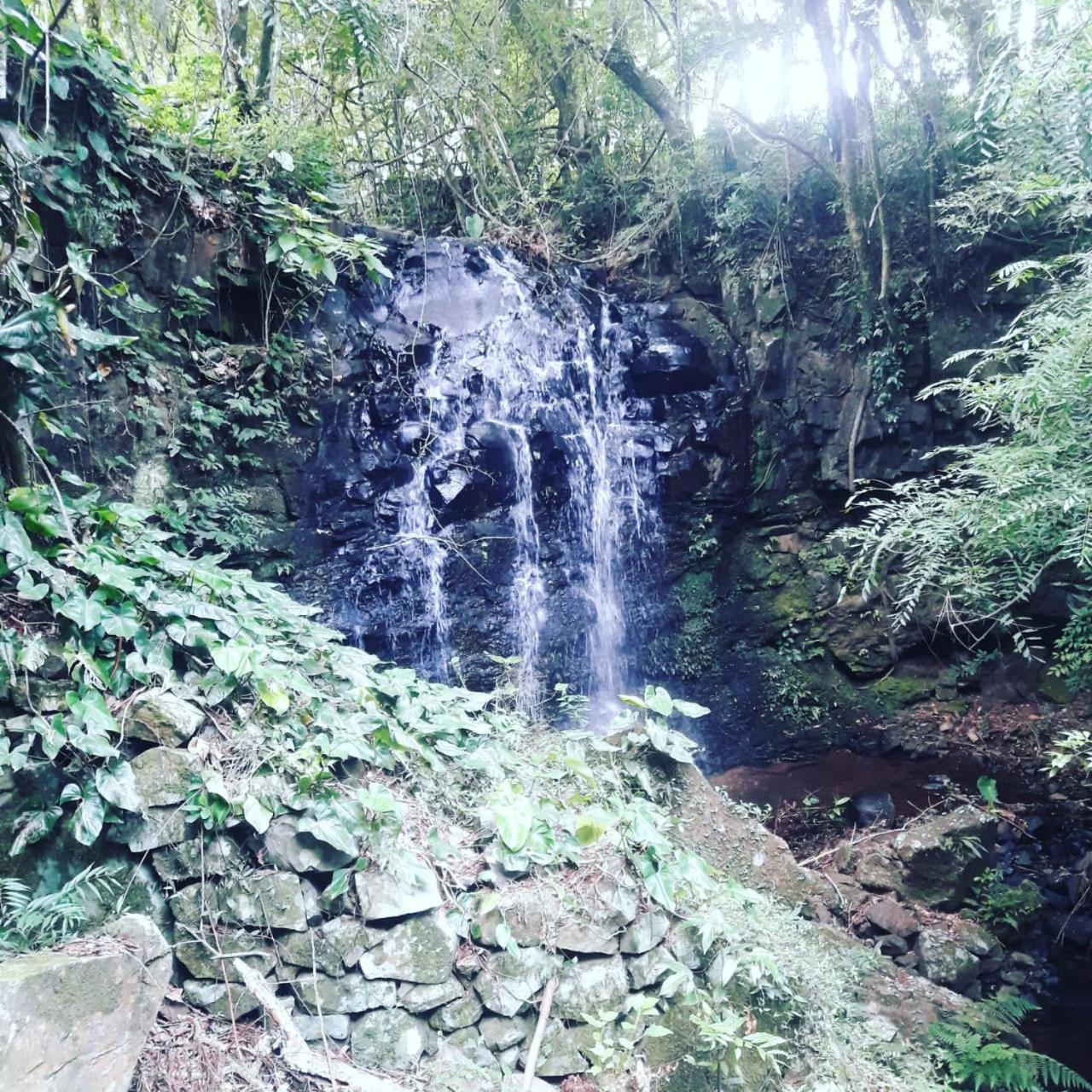 Quinta da Boa Vista São Chico