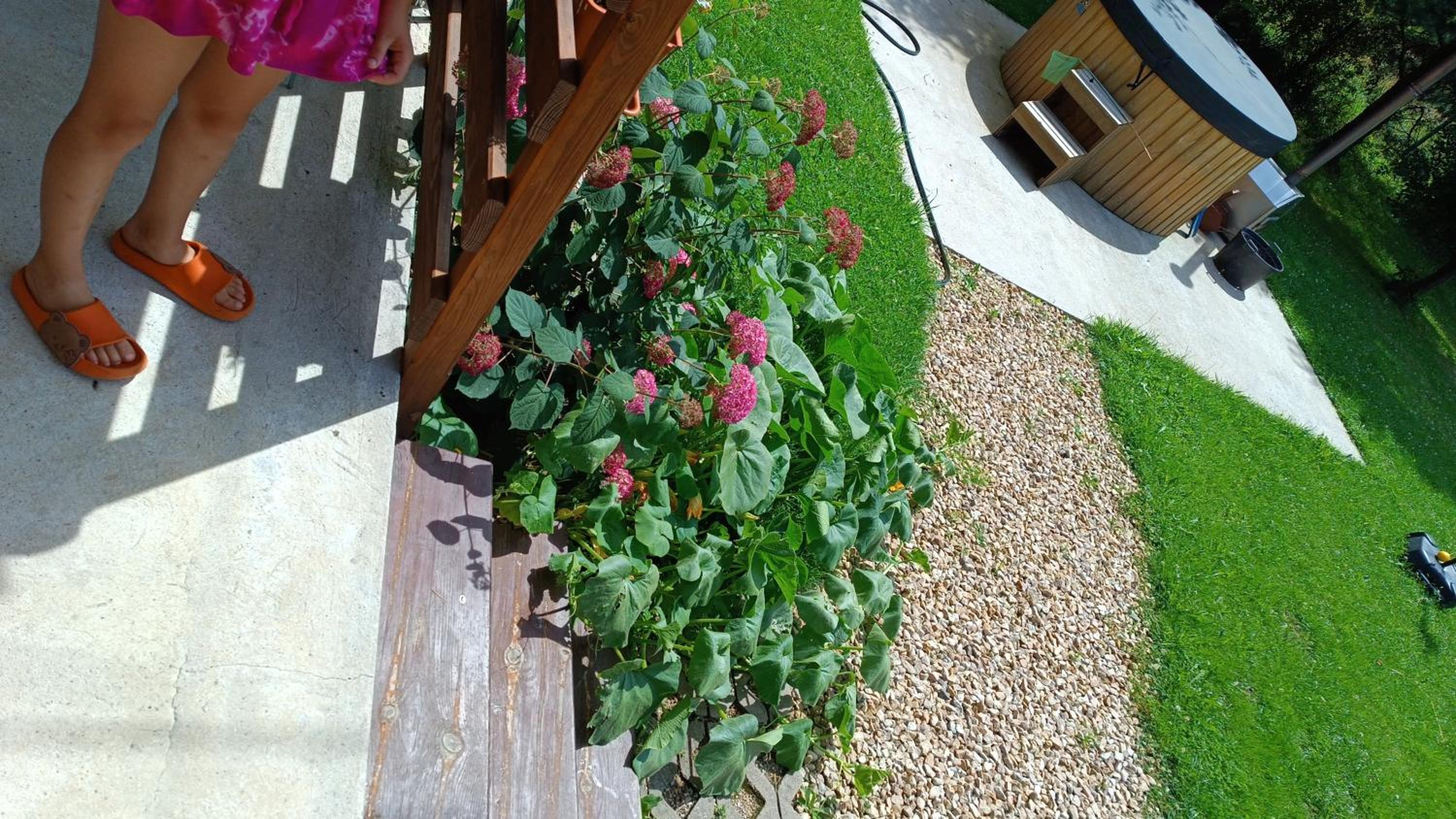 Photo 23