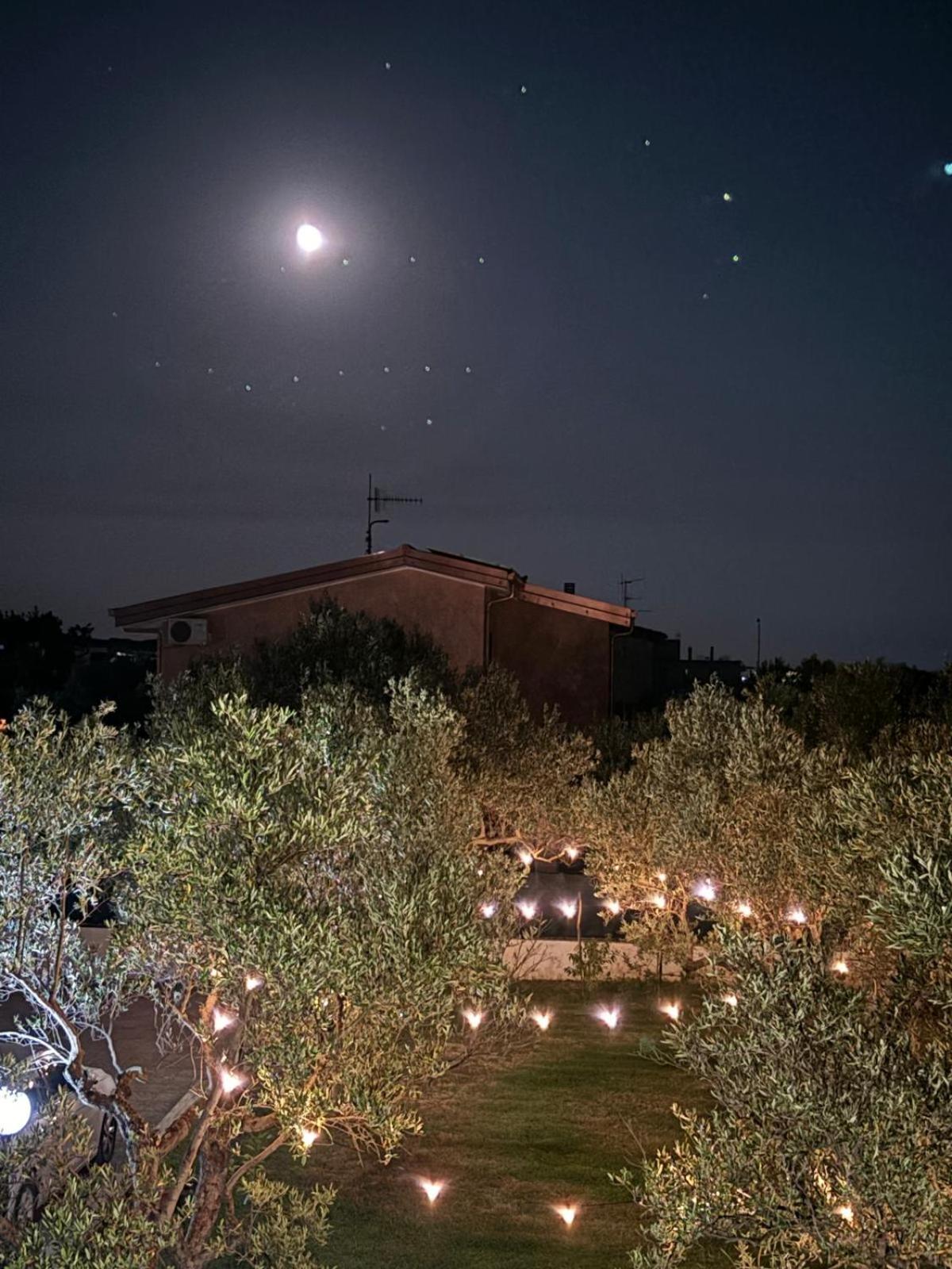 Casa torelli verde photo 5