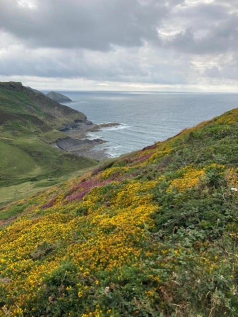 Tregrylls Barton
