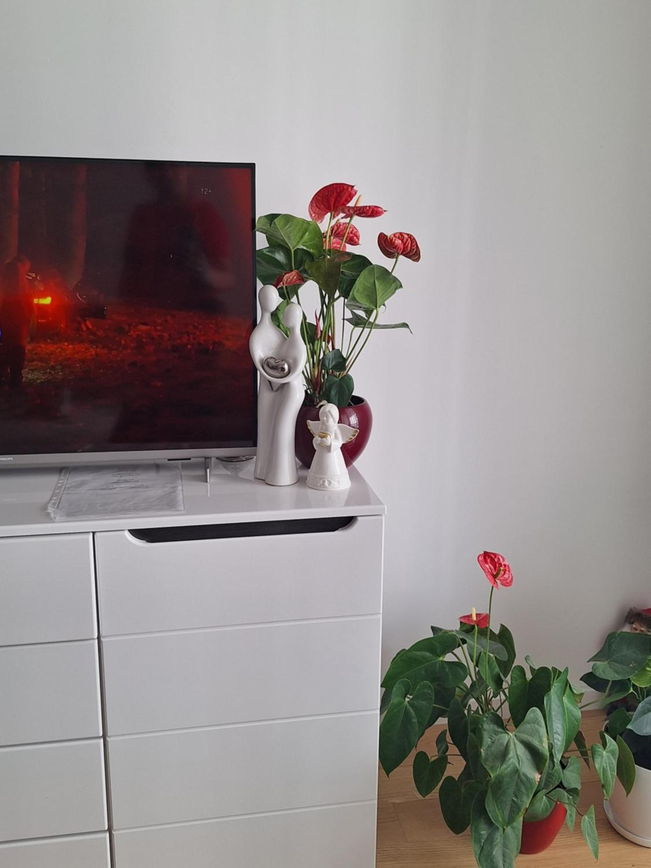 Apartman Kuburica