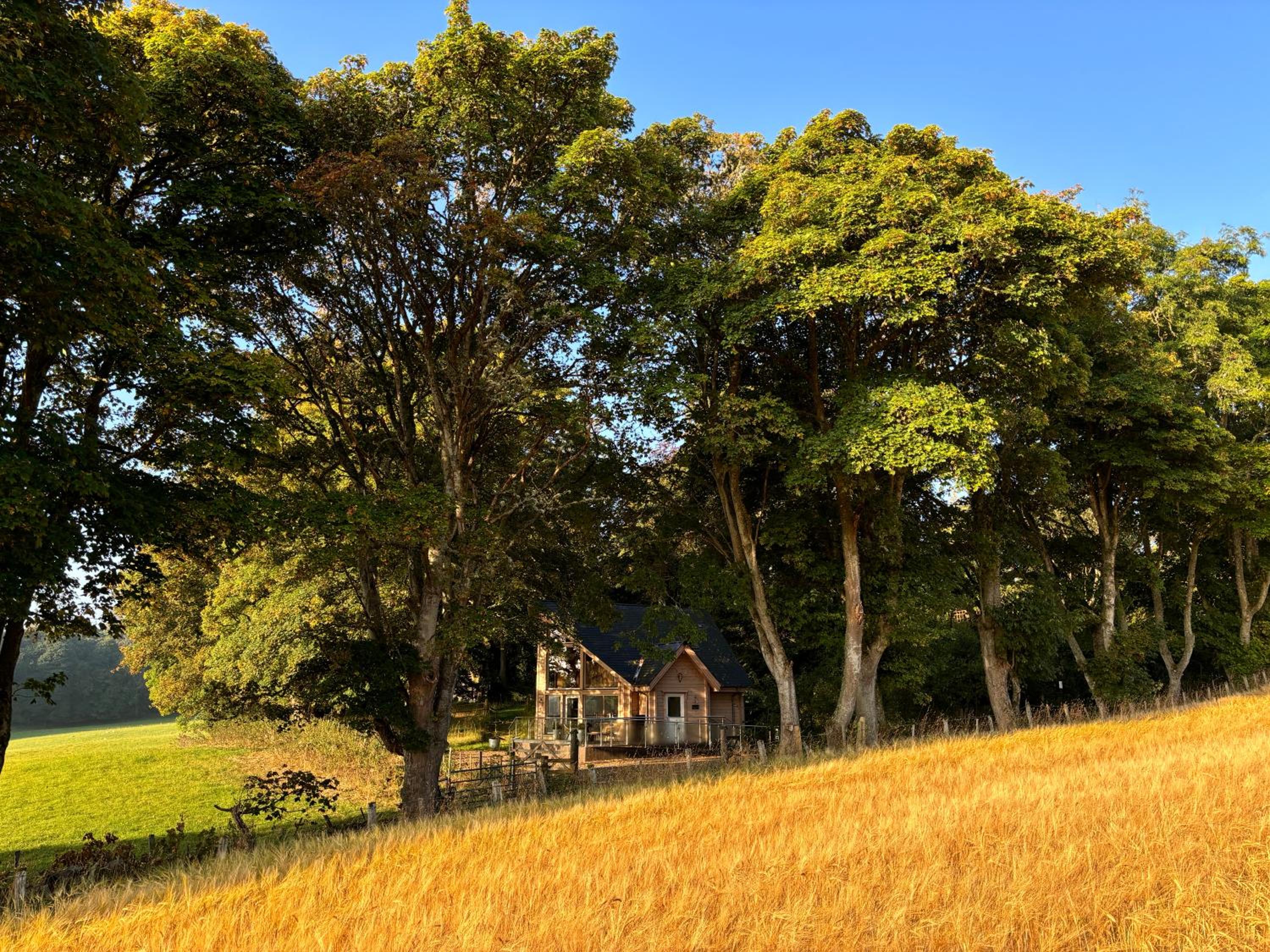 Cherry Tree Lodge view 2