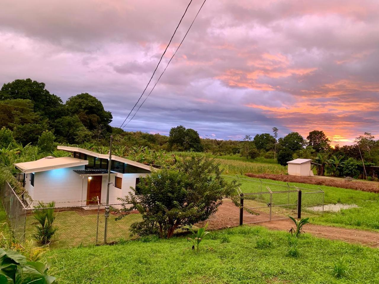 Pura Vida Beach House