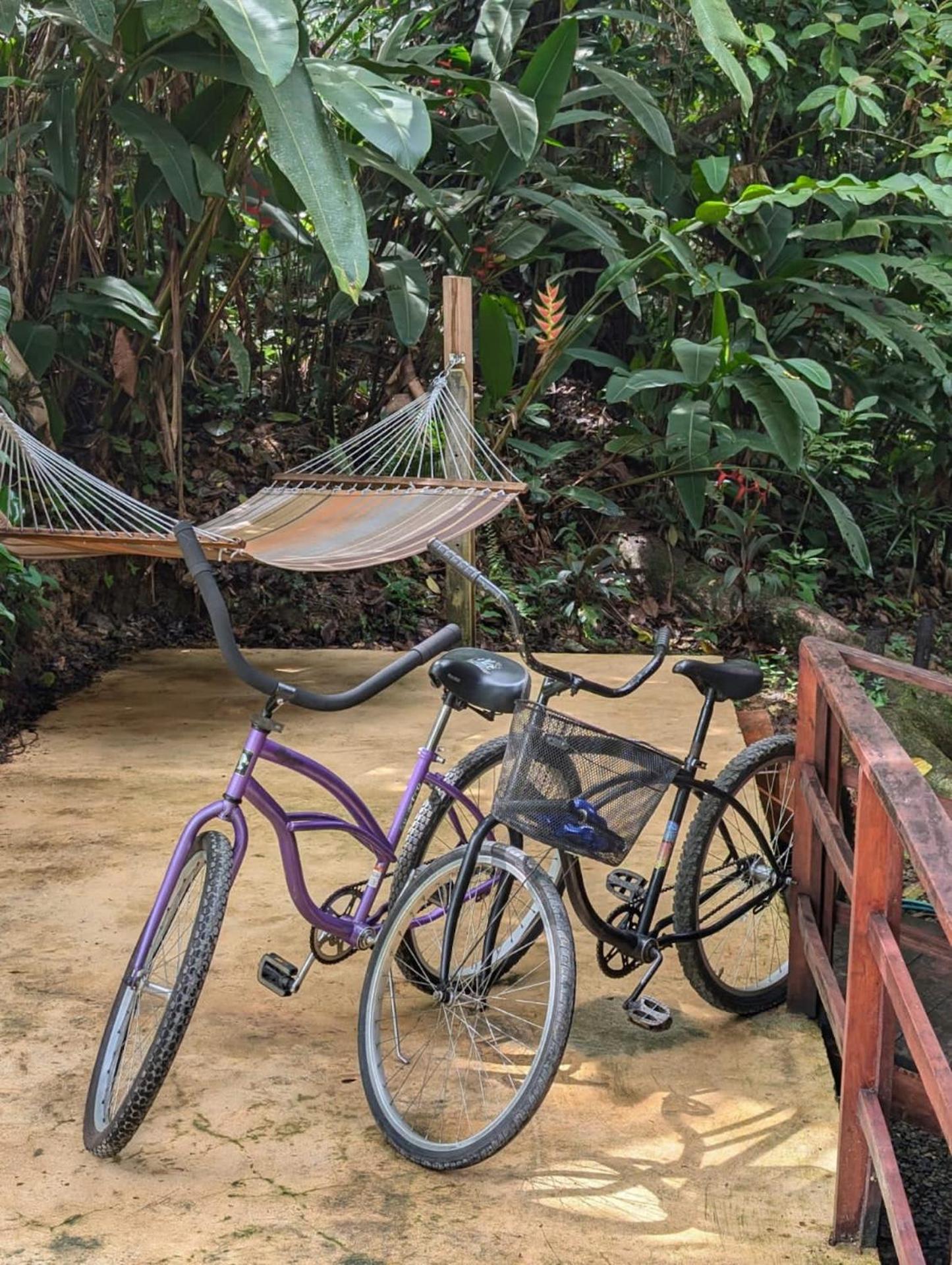 Cocoa Jungle Art Villa 8 min by car from Cocles Beach
