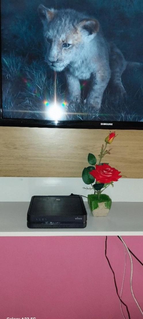 Apartamento com vista pro mar Aviação com wifi