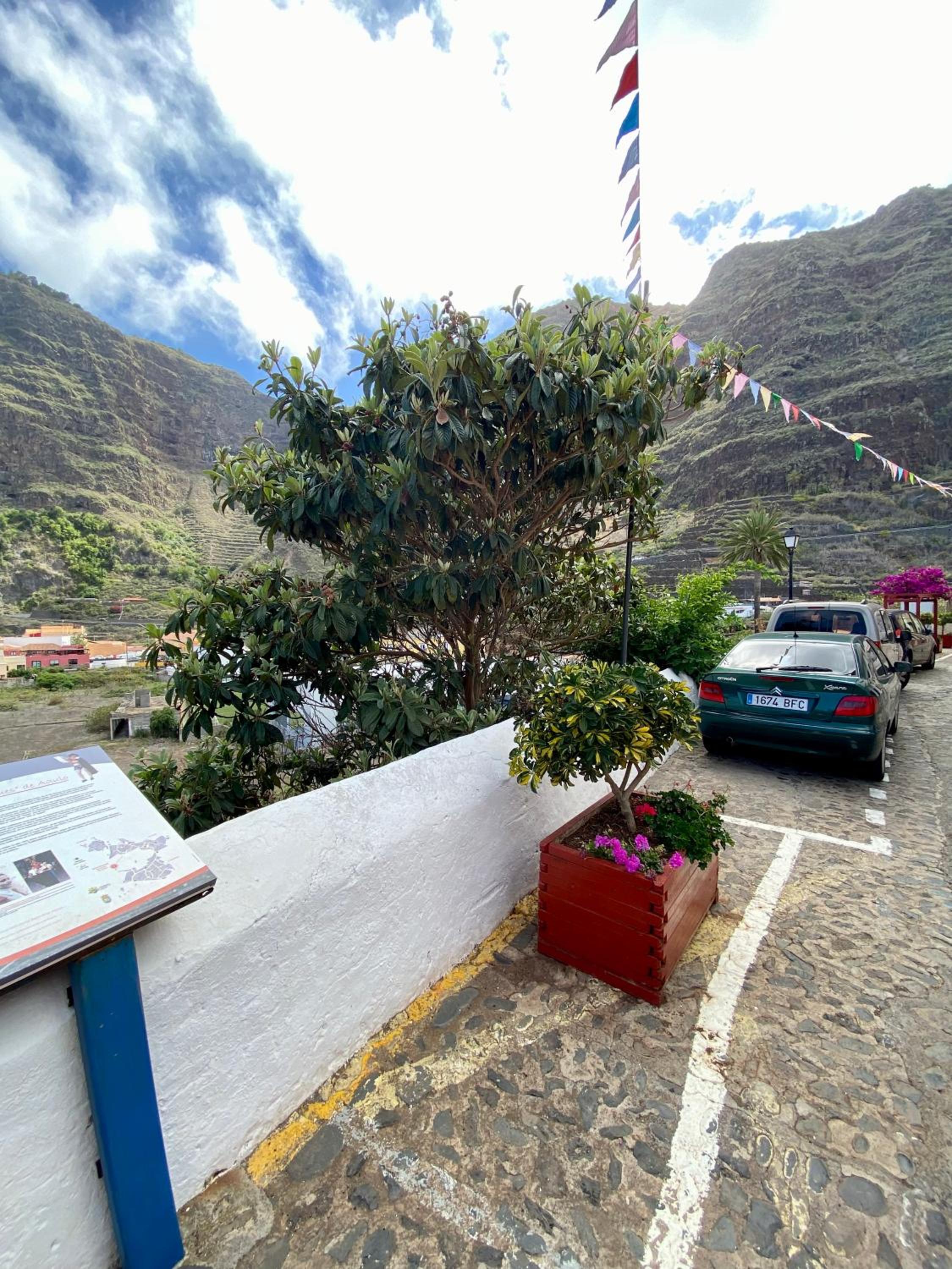 Casa Chana y Domingo- Refugio con historia y vistas en Agulo
