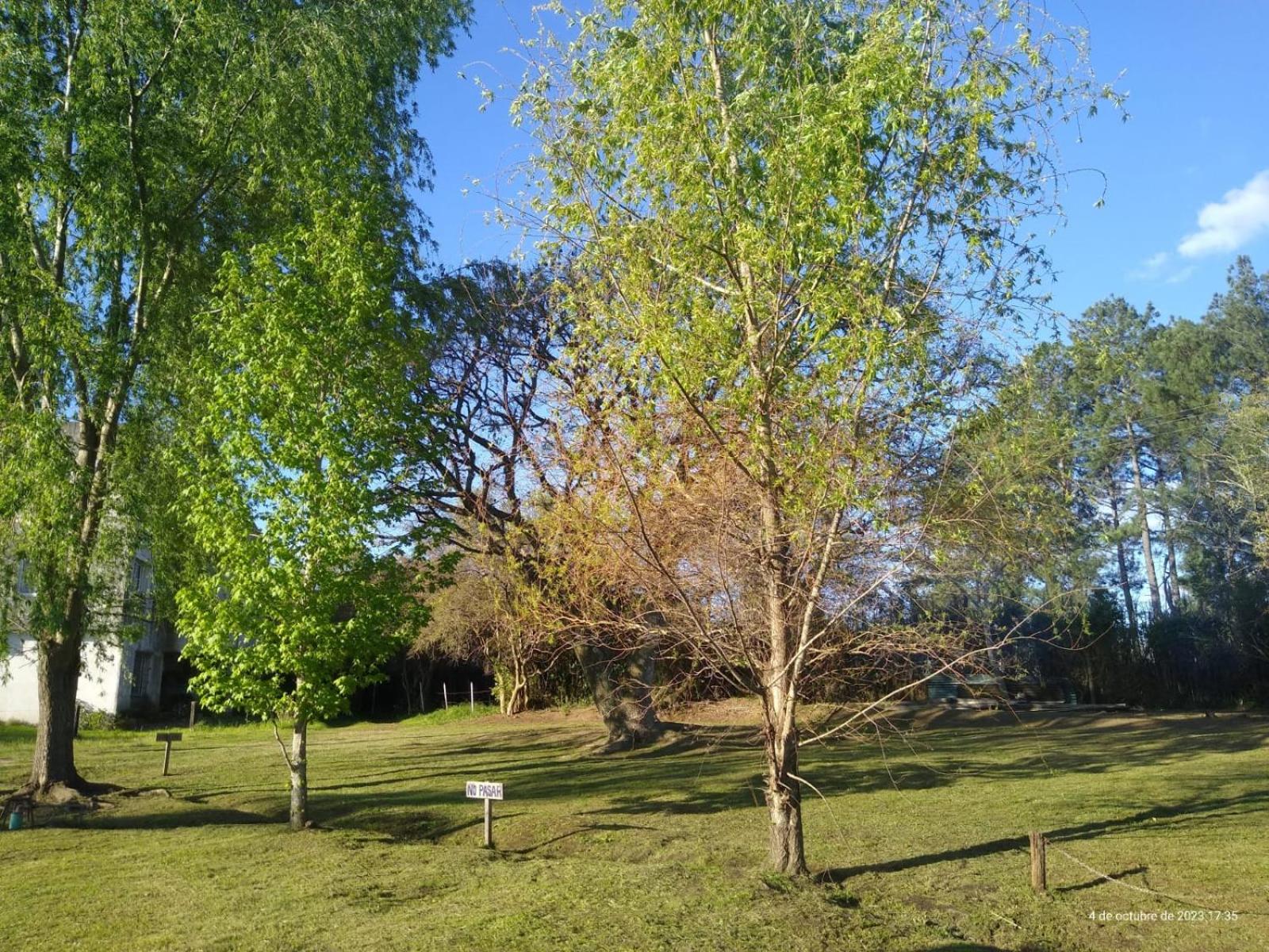 Cabañas Sendero del Ñandubay