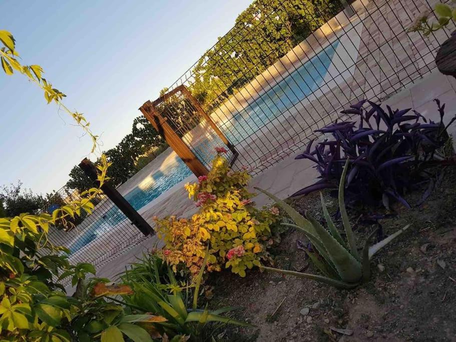 Casa Rural AlMa