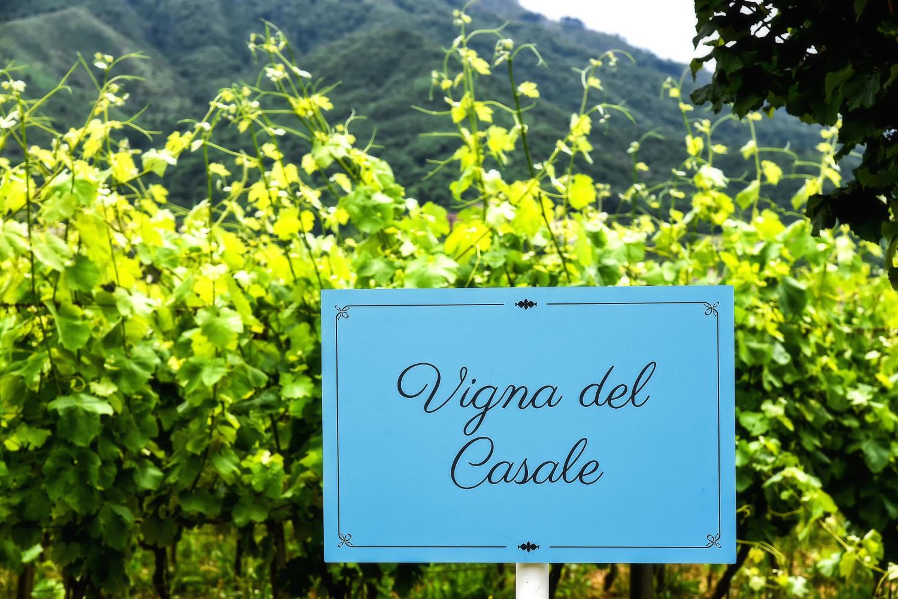 Agriturismo Guerritore