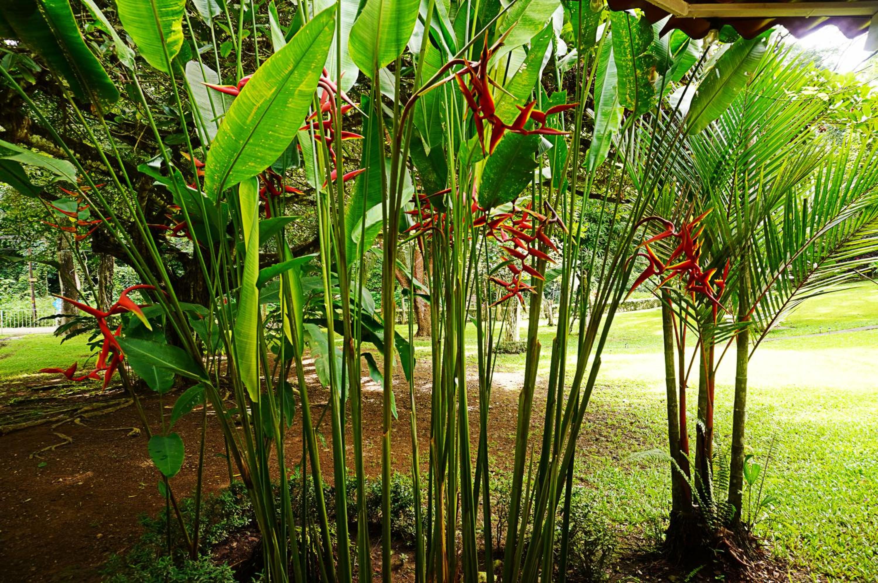 Quinta Playa Blanca