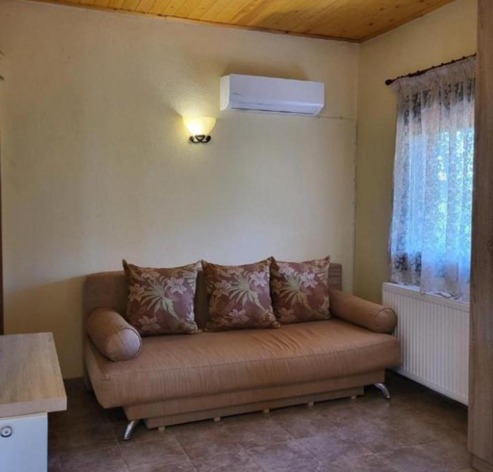Alexandra Forest House view 3
