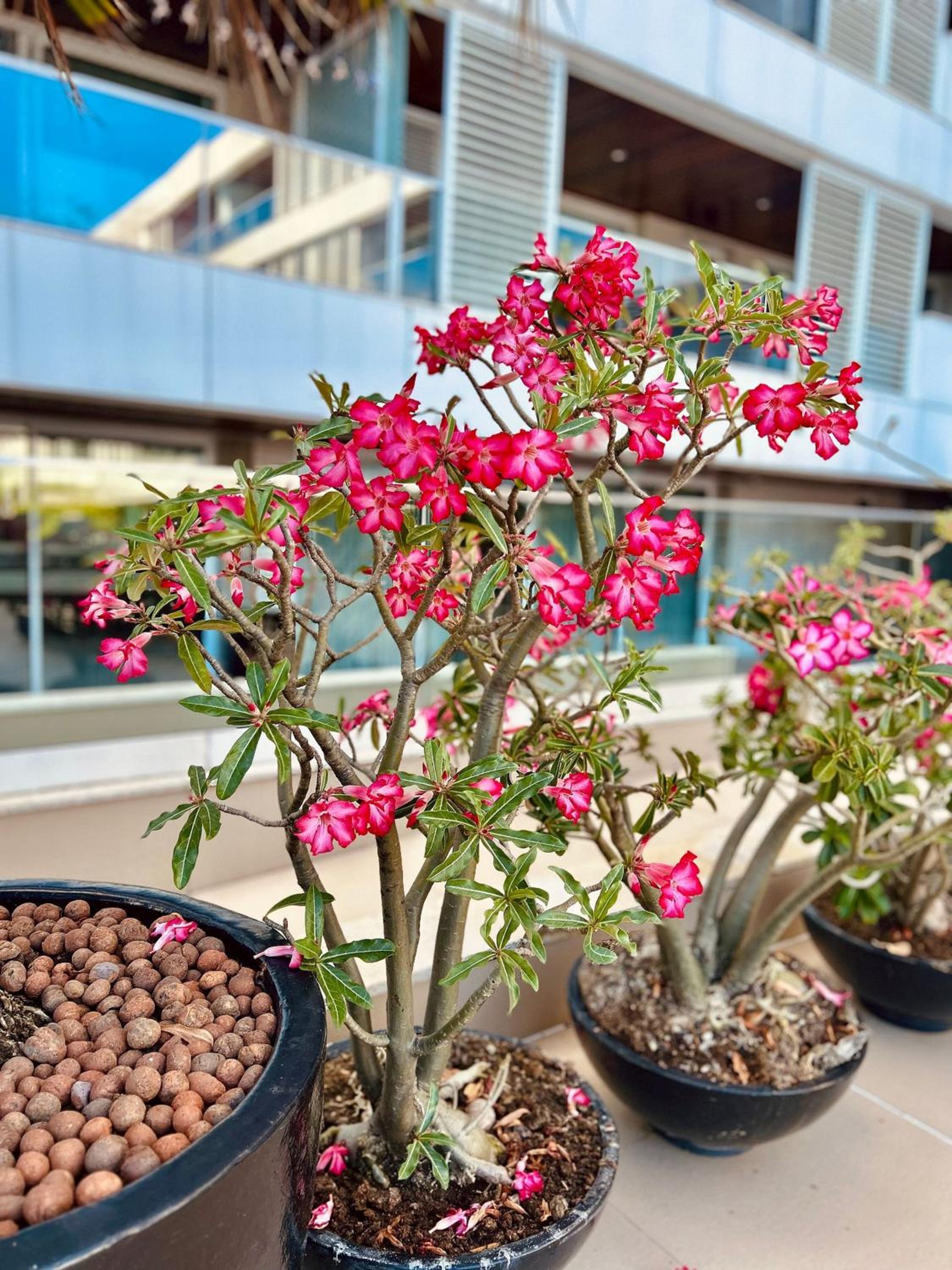 Solar Tambaú - Apartamentos com vistas Espetaculares