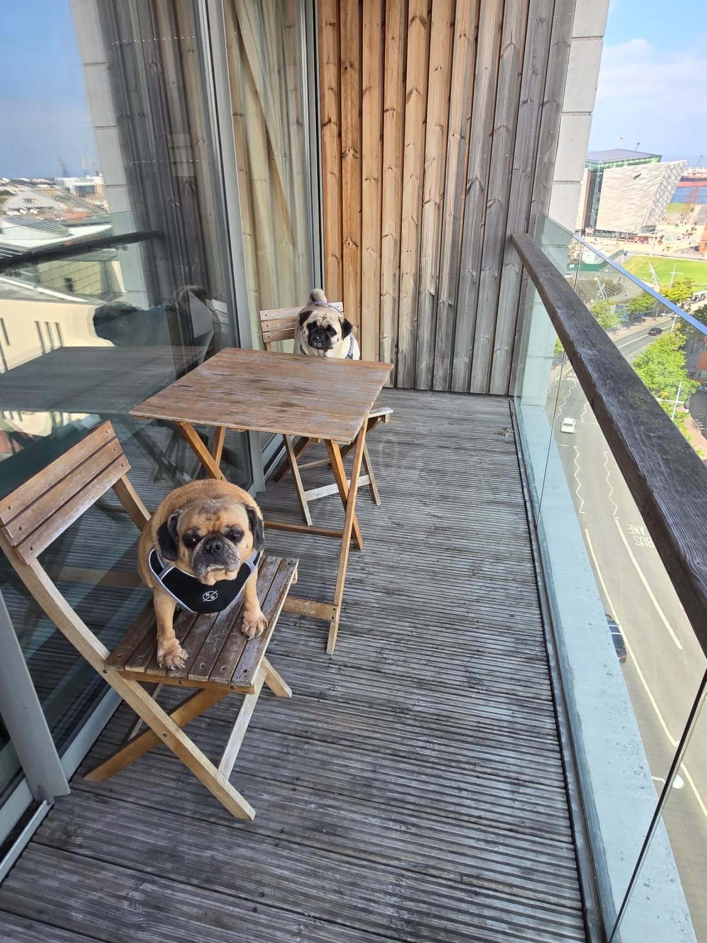 Benji & Milos Apartments view 3