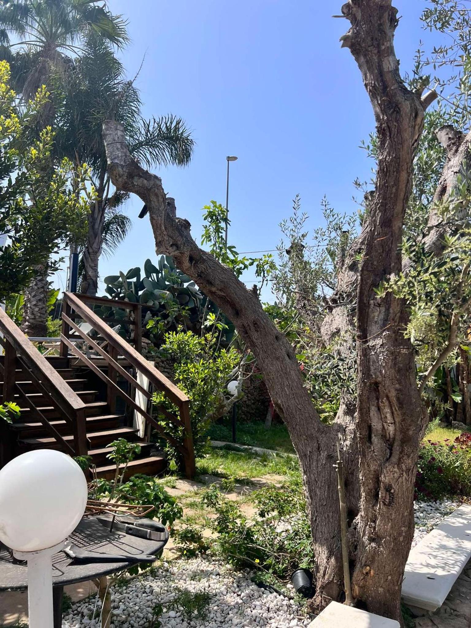 Villa Casa Vacanze Fiore