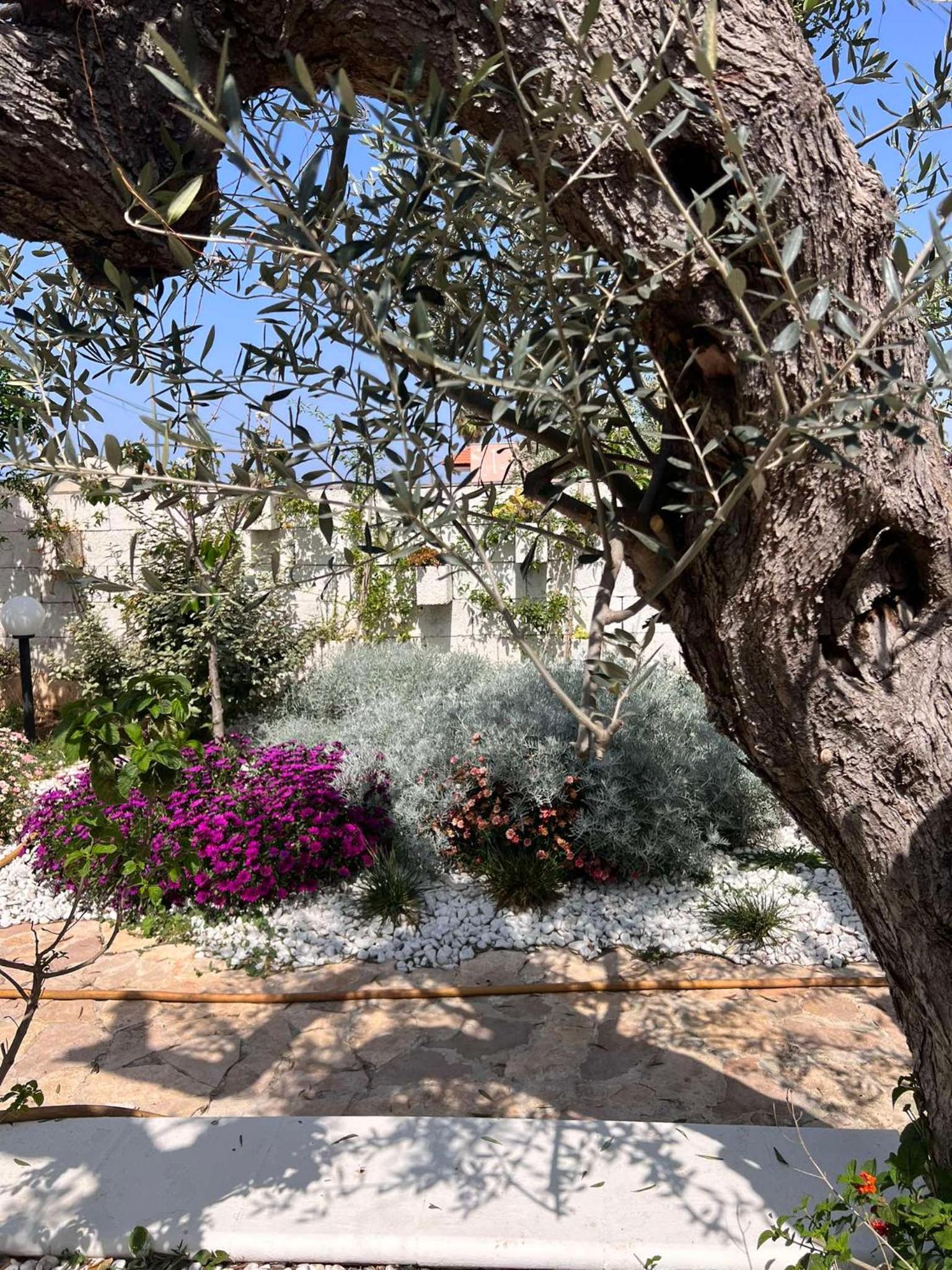 Villa Casa Vacanze Fiore
