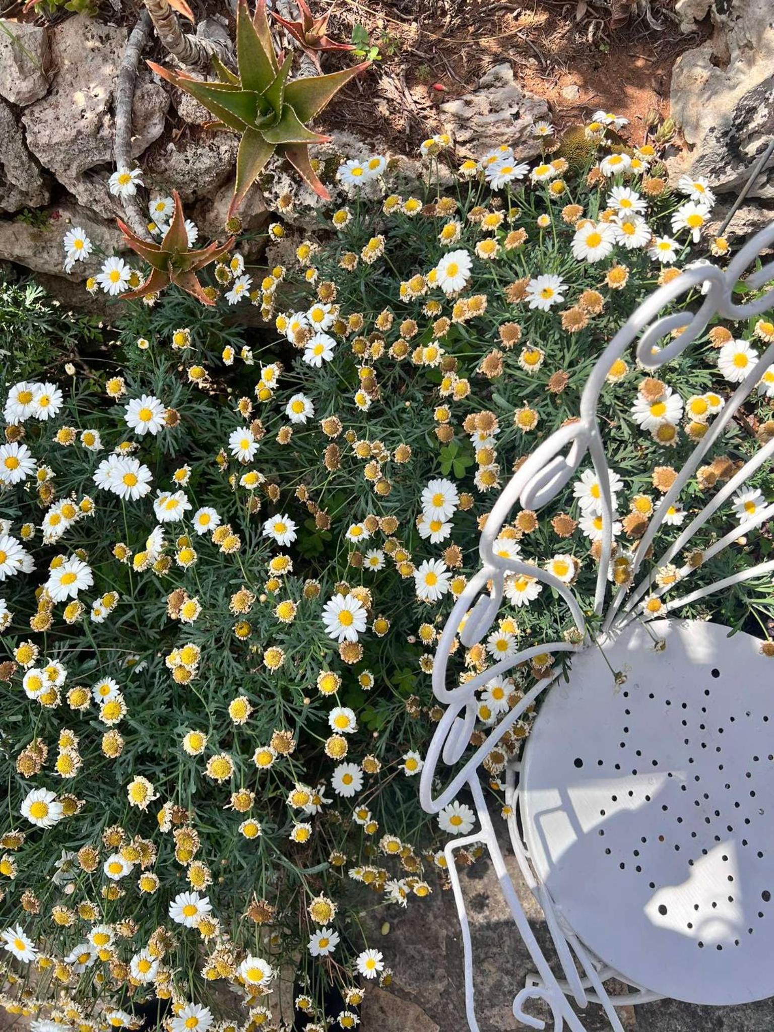 Villa Casa Vacanze Fiore