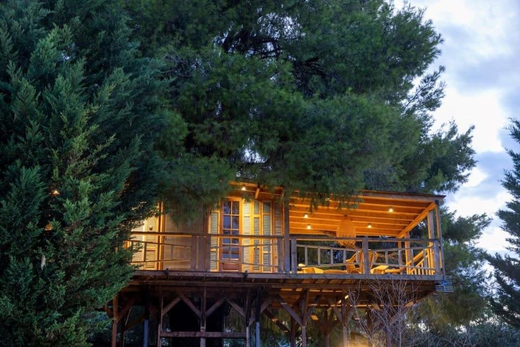 Sani Tree House view 5