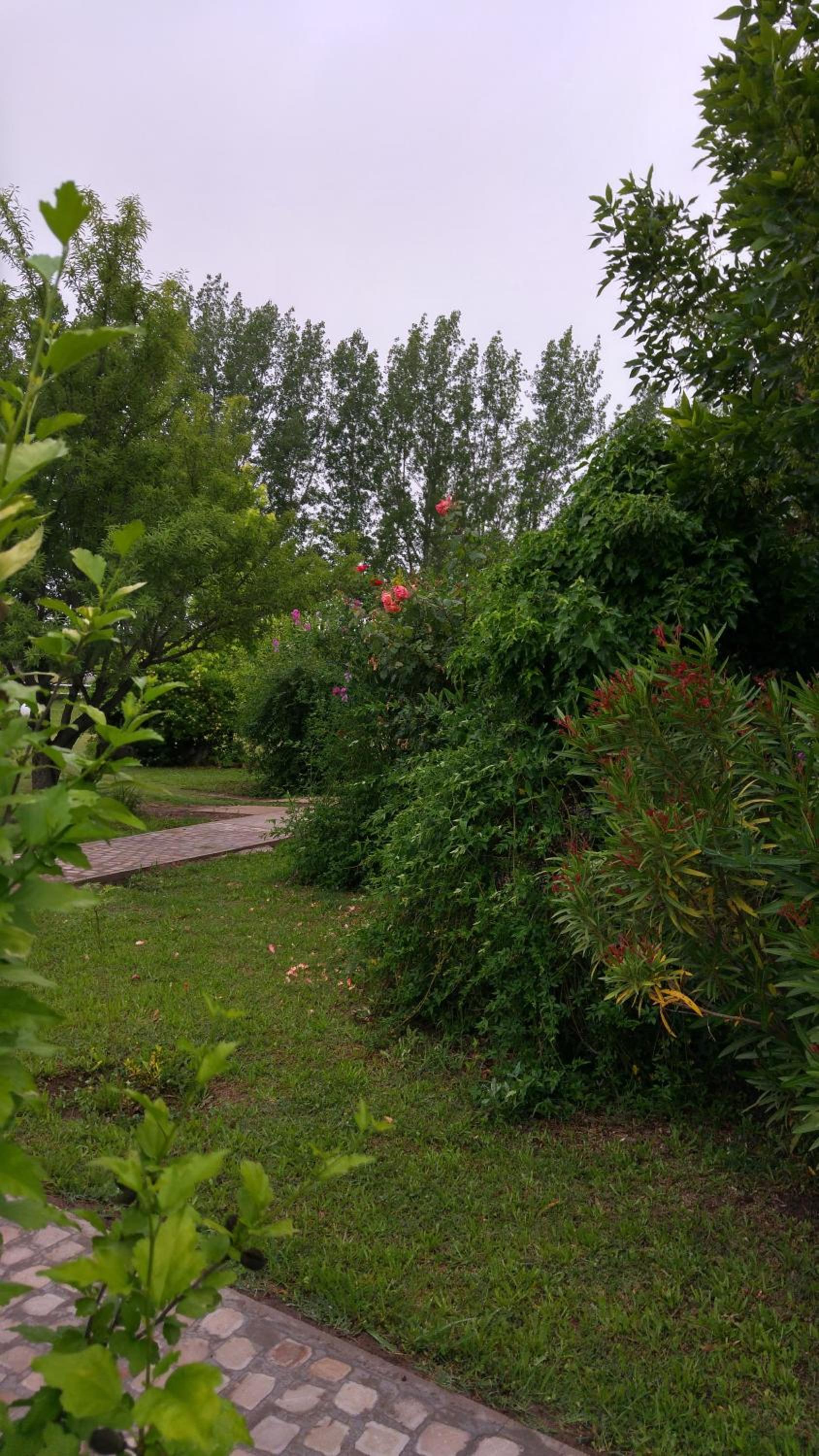 Villa Ciruelos