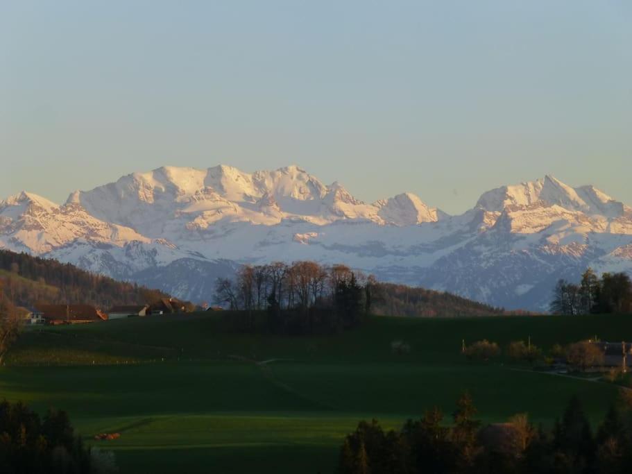 Swiss Alps