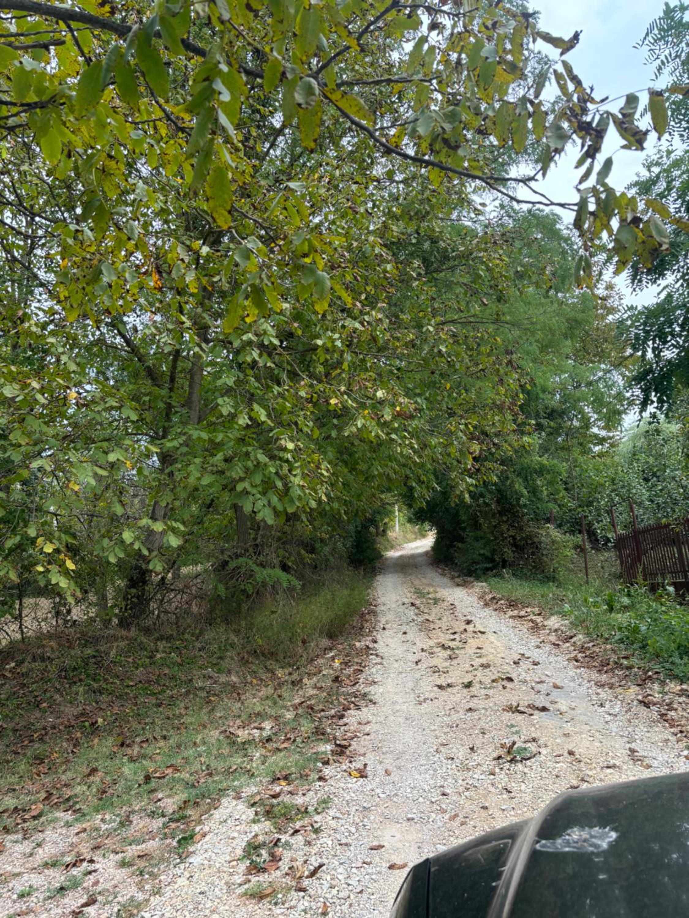 Kuća Tajna Banja Vrujci view 2