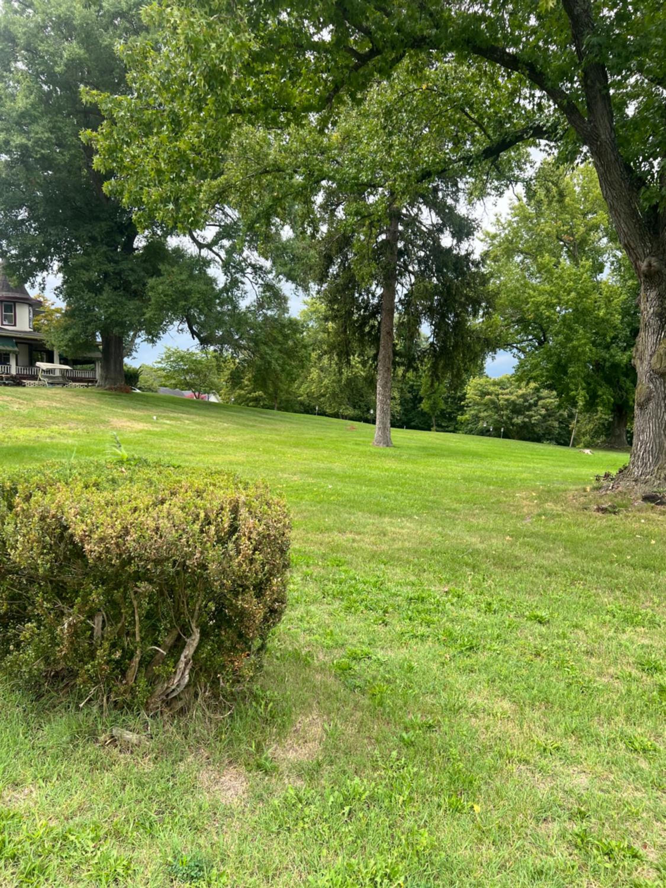 Potomac River Motel view 2