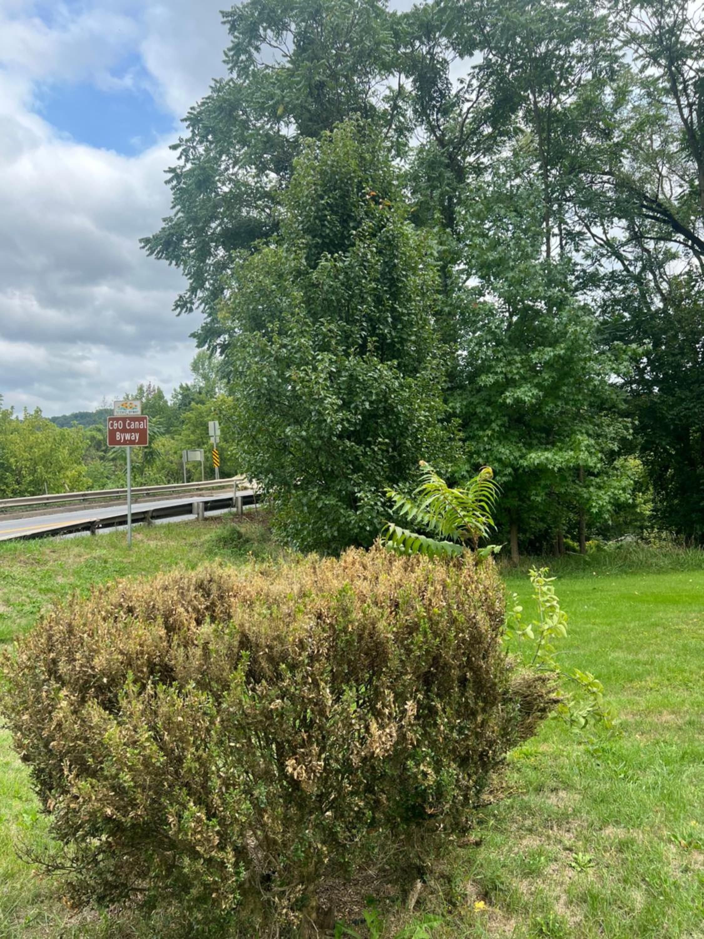 Potomac River Motel view 5