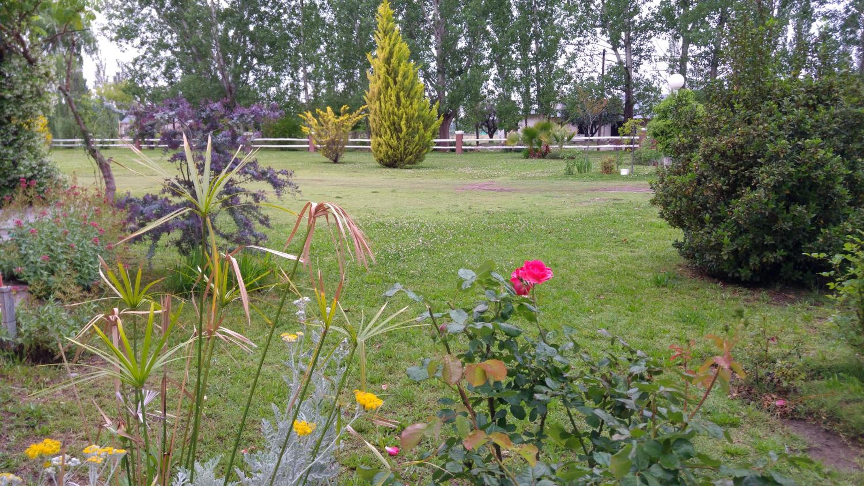 Villa Ciruelos