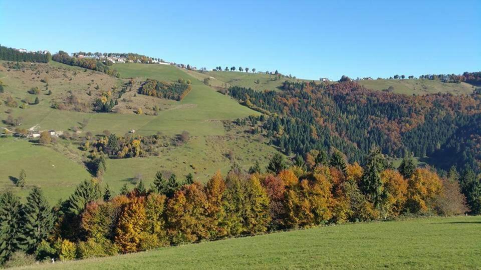 Piccolo Paradiso