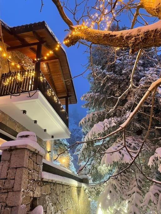 The forest chalet in Parnassus view 4