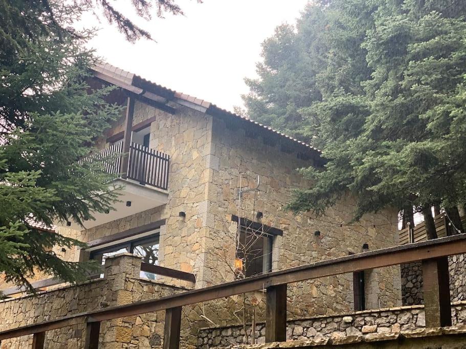 The forest chalet in Parnassus