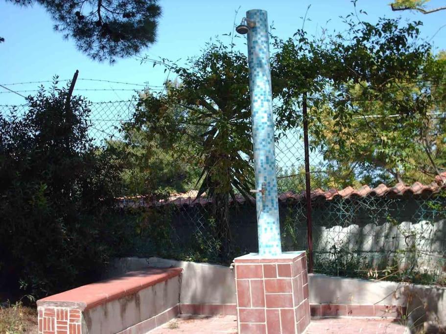 Photo 22