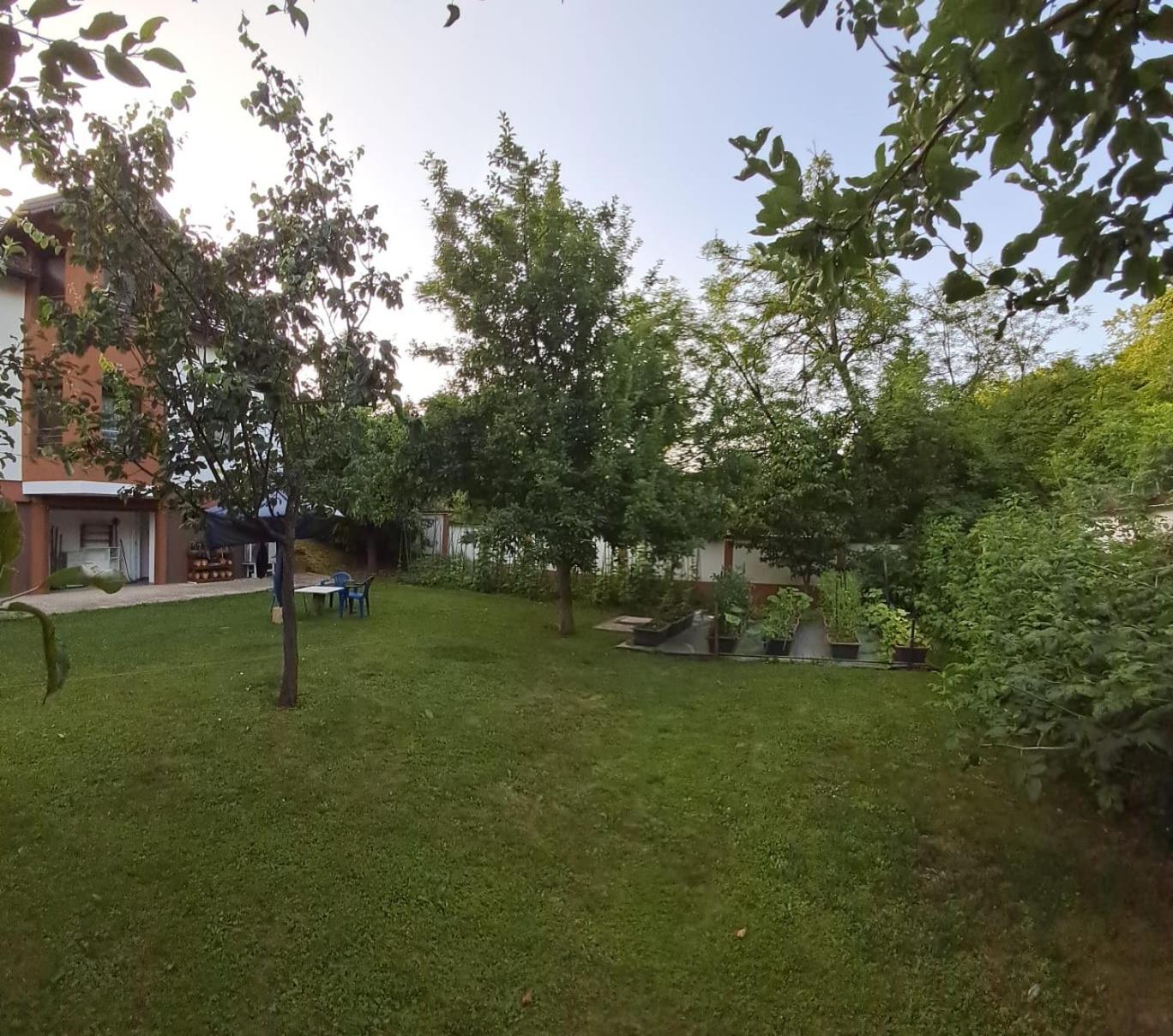 Villa Azbella zelena meraja