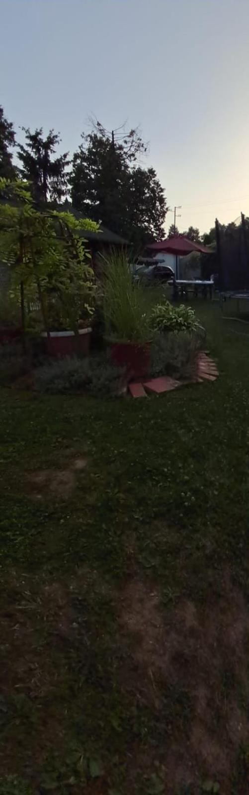 Villa Azbella zelena meraja