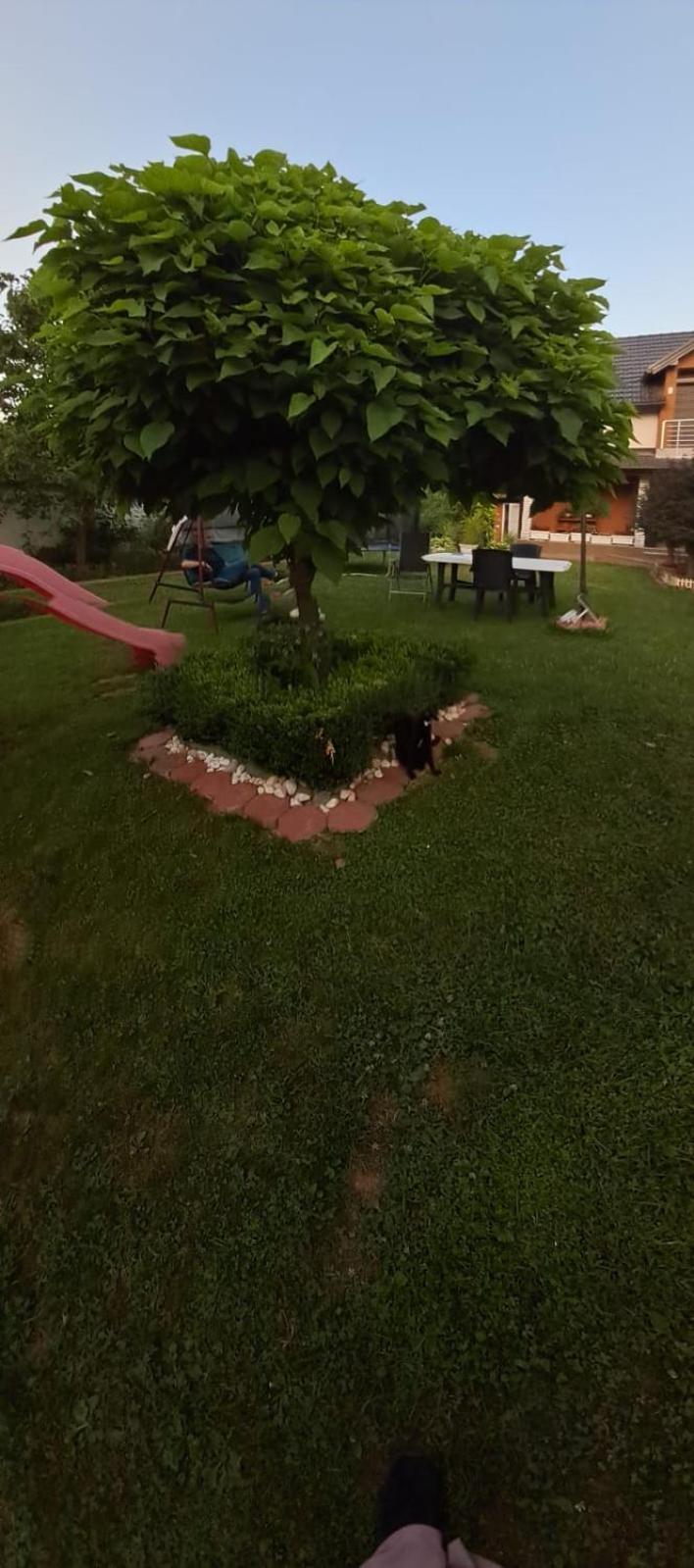 Villa Azbella zelena meraja