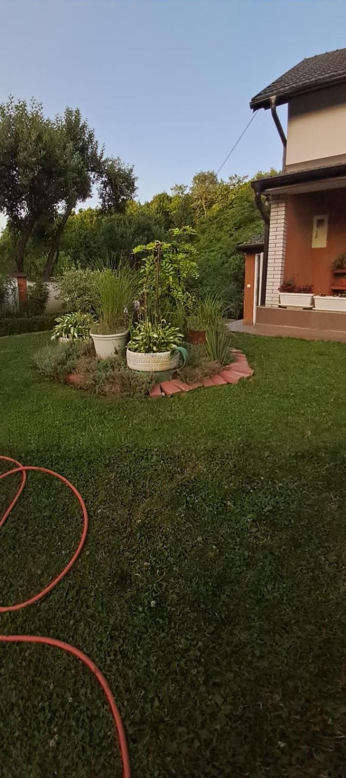 Villa Azbella zelena meraja