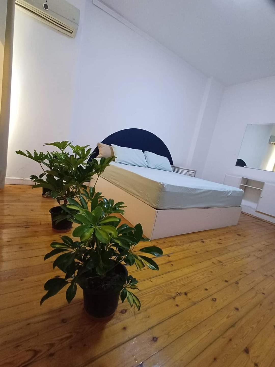 Family apartment