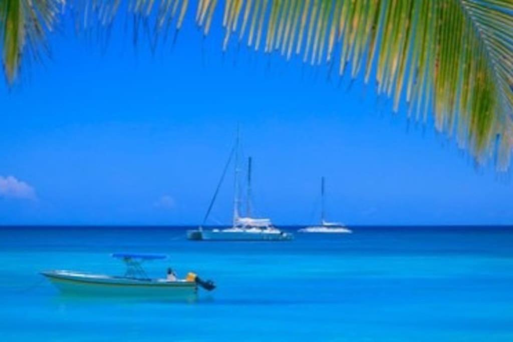 Estrella Dominicus - Excepcional Apartamento en el Caribe